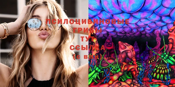 спайс Арсеньев