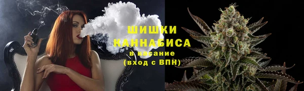 спайс Арсеньев