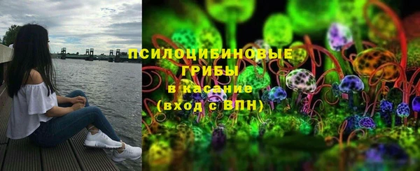 спайс Арсеньев